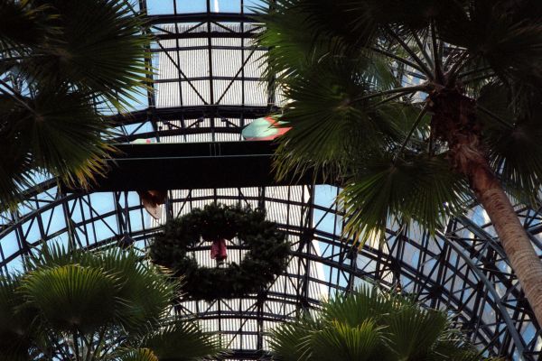 1wtc-from-winter-garden-atrium-december-1988587123E6-342F-66C0-D791-DC099B48FC99.jpg
